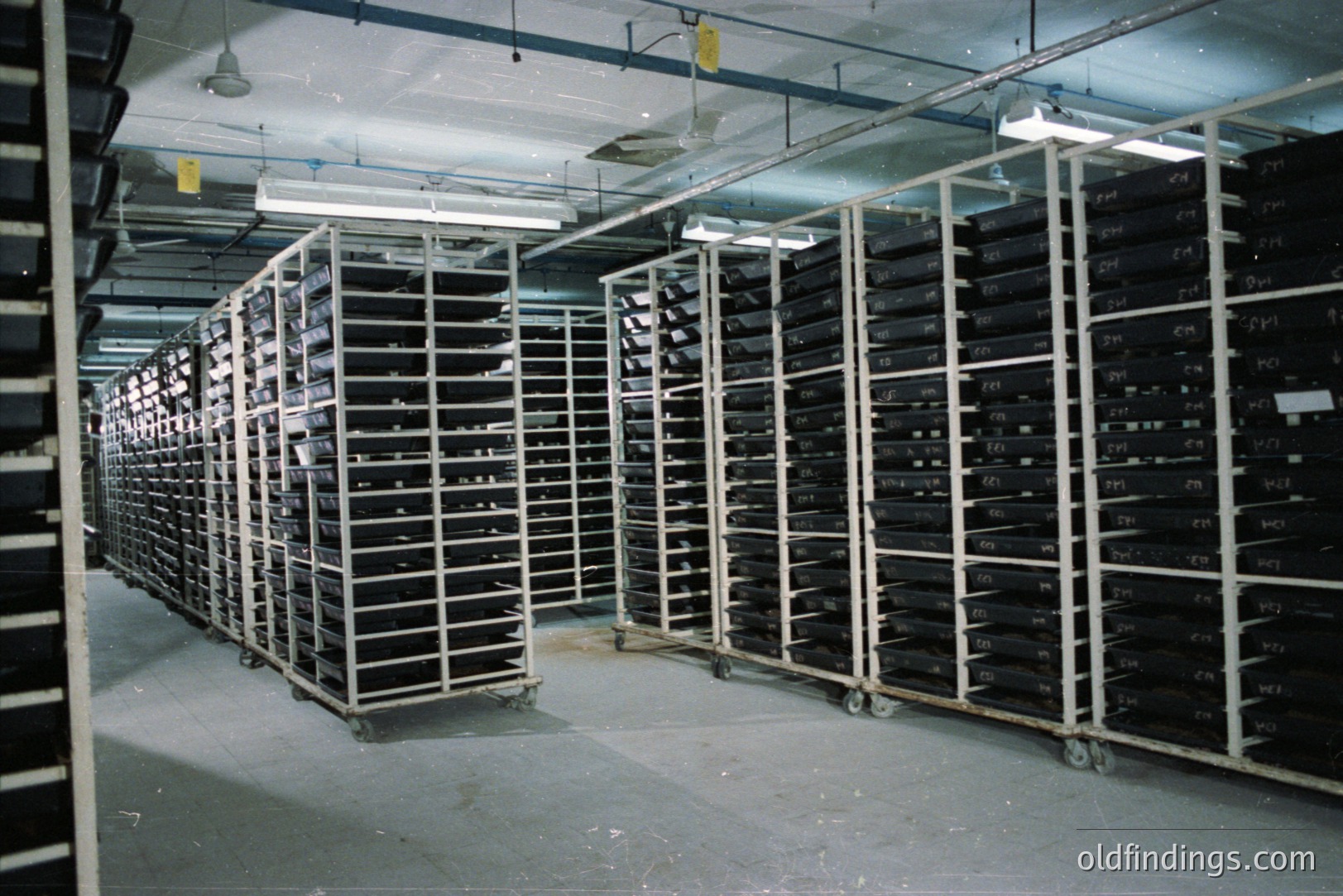 High-density archival storage system with numerous labeled film canisters. Likely a film archive or library, demonstrating organized long-term preservation. Metal shelving on casters facilitates rearrangement. Fluorescent lighting illuminates the space.