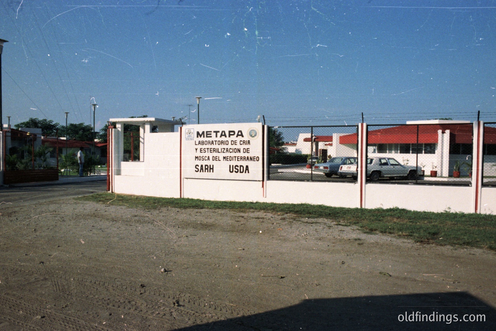 A weathered sign reads "LABORATORIO DE CRIA Y ESTERILIZACION DE MOSCA DEL MEDITERRANEO" with USDA and SARH logos. The scene depicts a government agricultural facility, likely for mosquito control. The photo, potentially from the 1970s or 80s, shows a plain, functional building and a dirt access road.