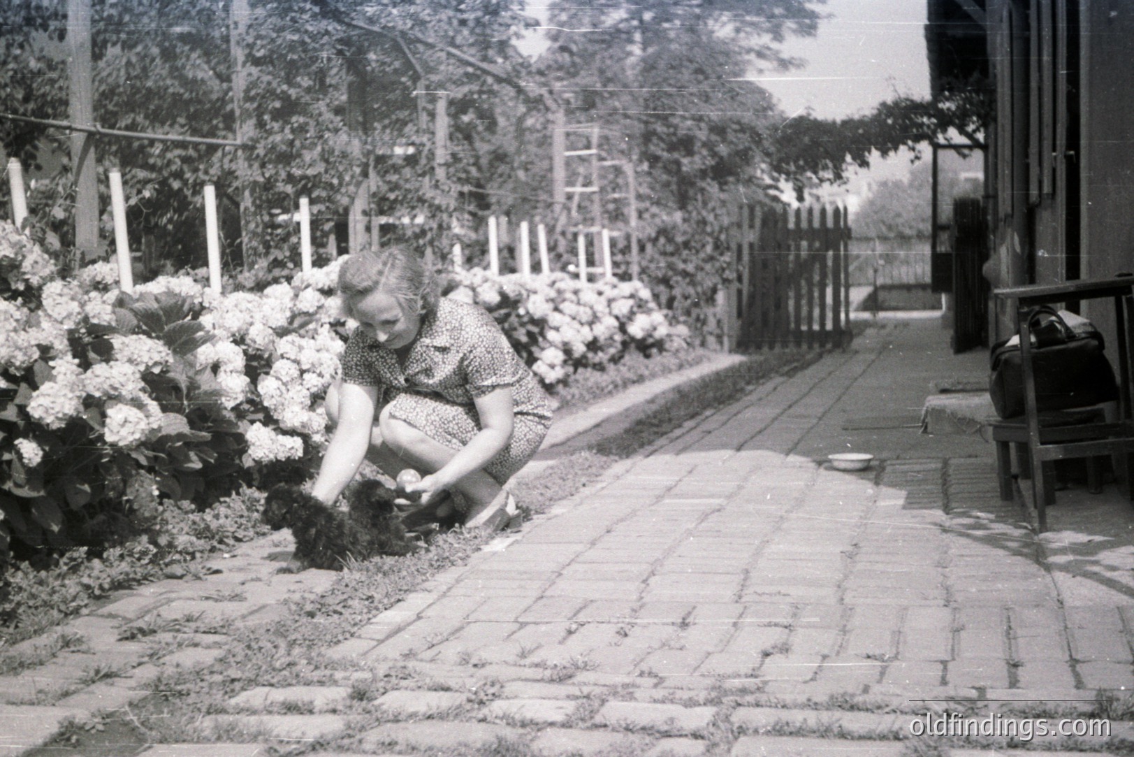 A woman in a 1940s-style dress kneels, tending a flower bed along a brick-paved walkway. A weathered wooden fence and overgrown climbing vines define the backdrop of this private garden space. Simple gardening tools lie nearby. Likely taken in a European setting.