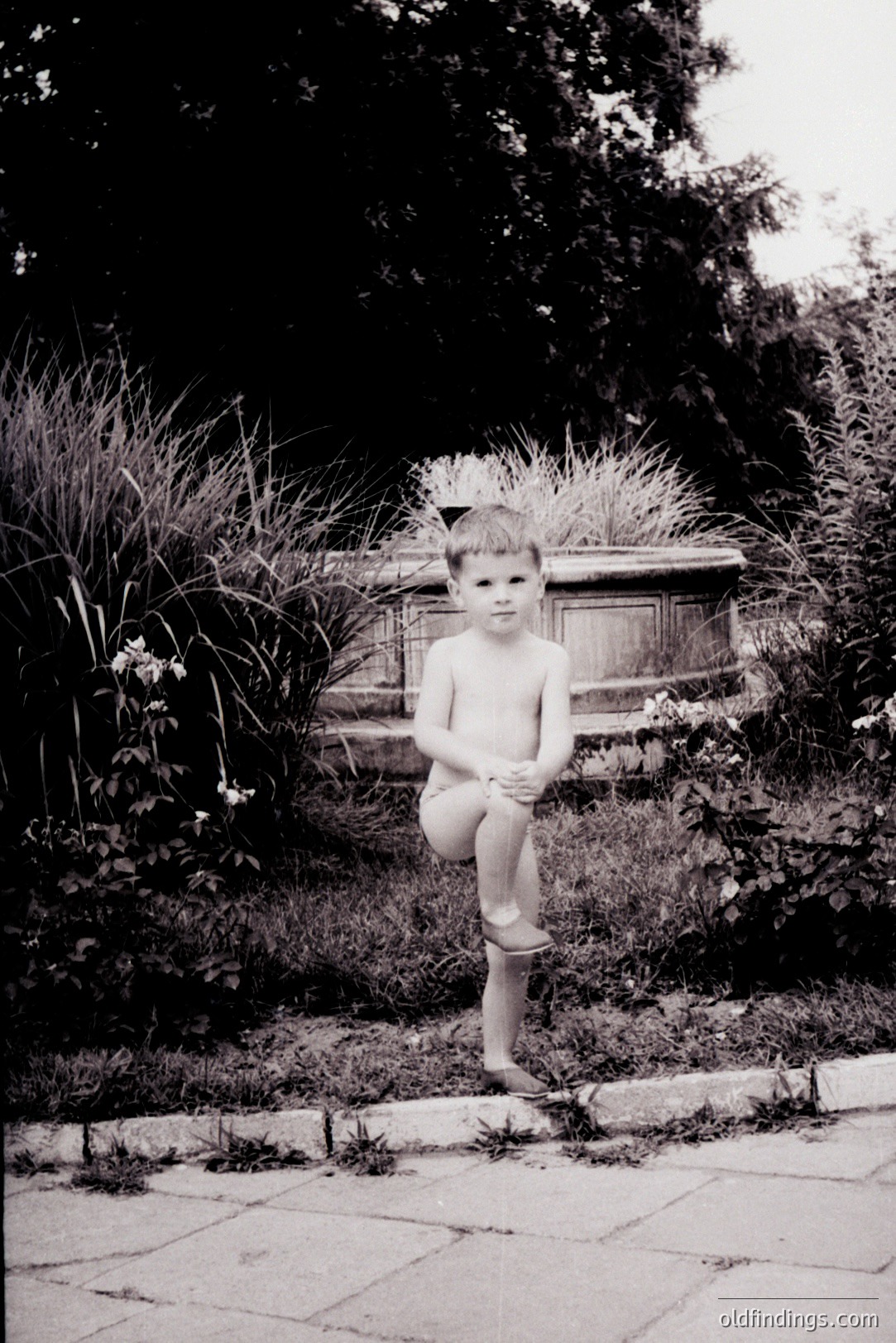 A young boy, barefoot, sits with legs crossed, examining a scraped knee. Dense greenery and a stone wall form the backdrop. The photograph’s grainy quality suggests a 1960s or 70s snapshot. Likely a candid moment captured in a home garden or park setting. A charming, nostalgic glimpse of childhood.
