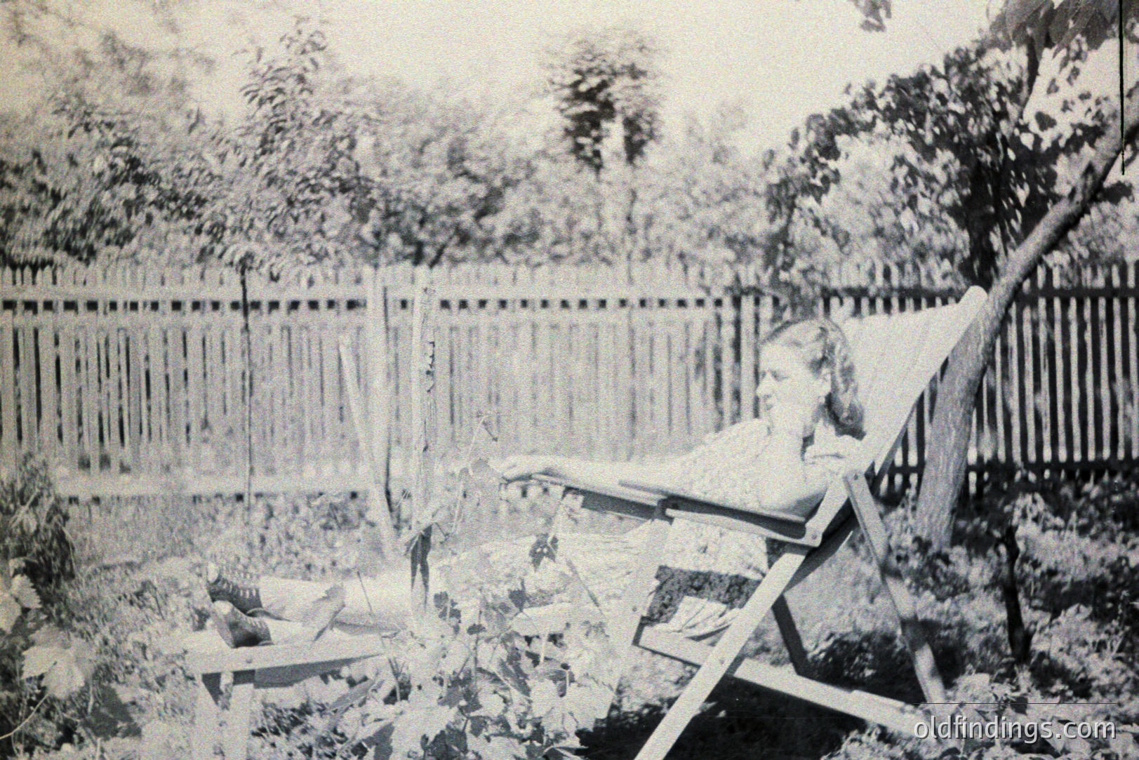 A young woman reclines in a wicker chair amidst overgrown foliage and a tall picket fence. The scene suggests a relaxed, private garden setting. Likely late 19th or early 20th century, based on clothing & photographic style. Photographic value: nostalgic portraiture, design reference.