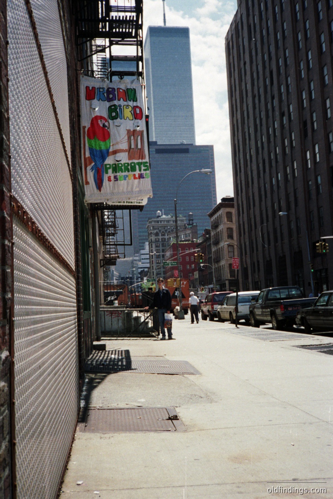 View down a narrow urban street lined with buildings, showcasing a storefront with a vibrant parrot sign and a distant skyscraper. Likely New York City, possibly early 2000s, judging by vehicle styles. Street appears slightly gritty, typical of a densely populated area. Commercial potential for design or urban studies.