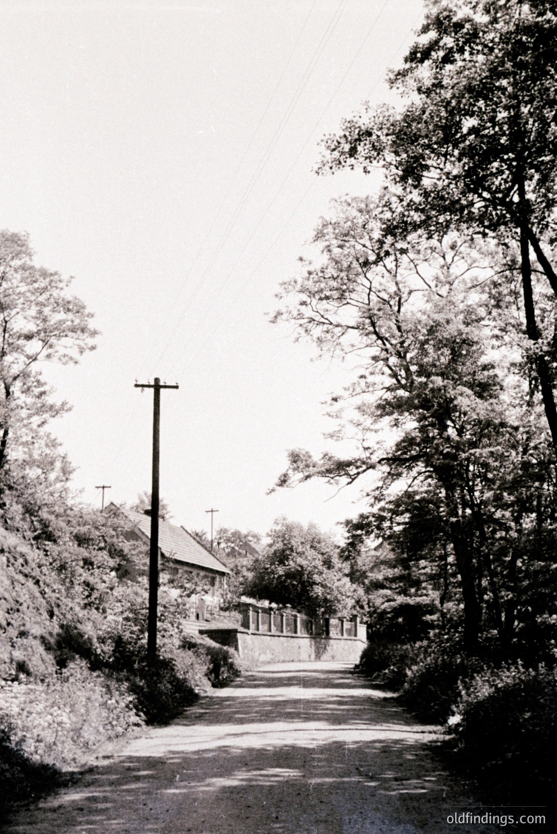 A narrow, uphill asphalt road leads toward a modest home nestled among dense trees. A utility pole dominates the left foreground. The scene evokes a quiet, rural setting, potentially in the mid-20th century given the photographic style. Likely residential landscape imagery.