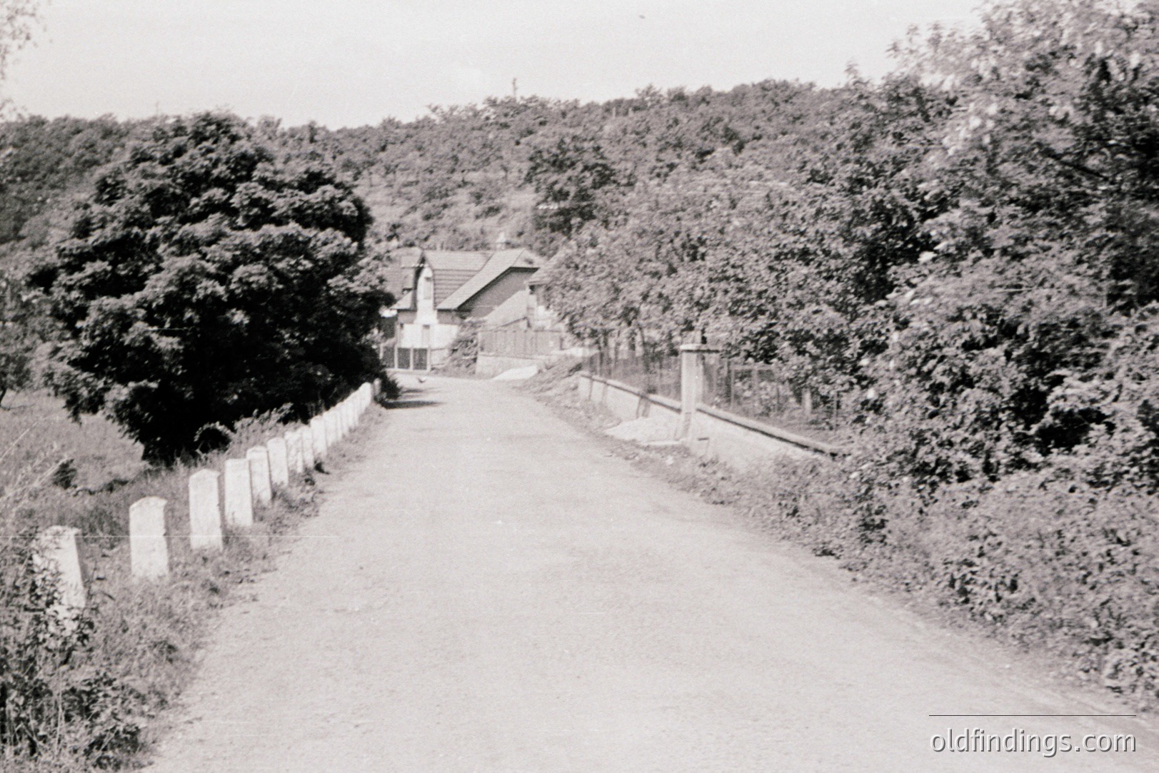 A long, gravel road leads toward a house nestled within dense, overgrown foliage. Stone posts line the road, indicating a property boundary. The architecture suggests a rural, possibly Eastern European setting, likely 1960s-1970s. Landscape evokes a sense of secluded retreat.