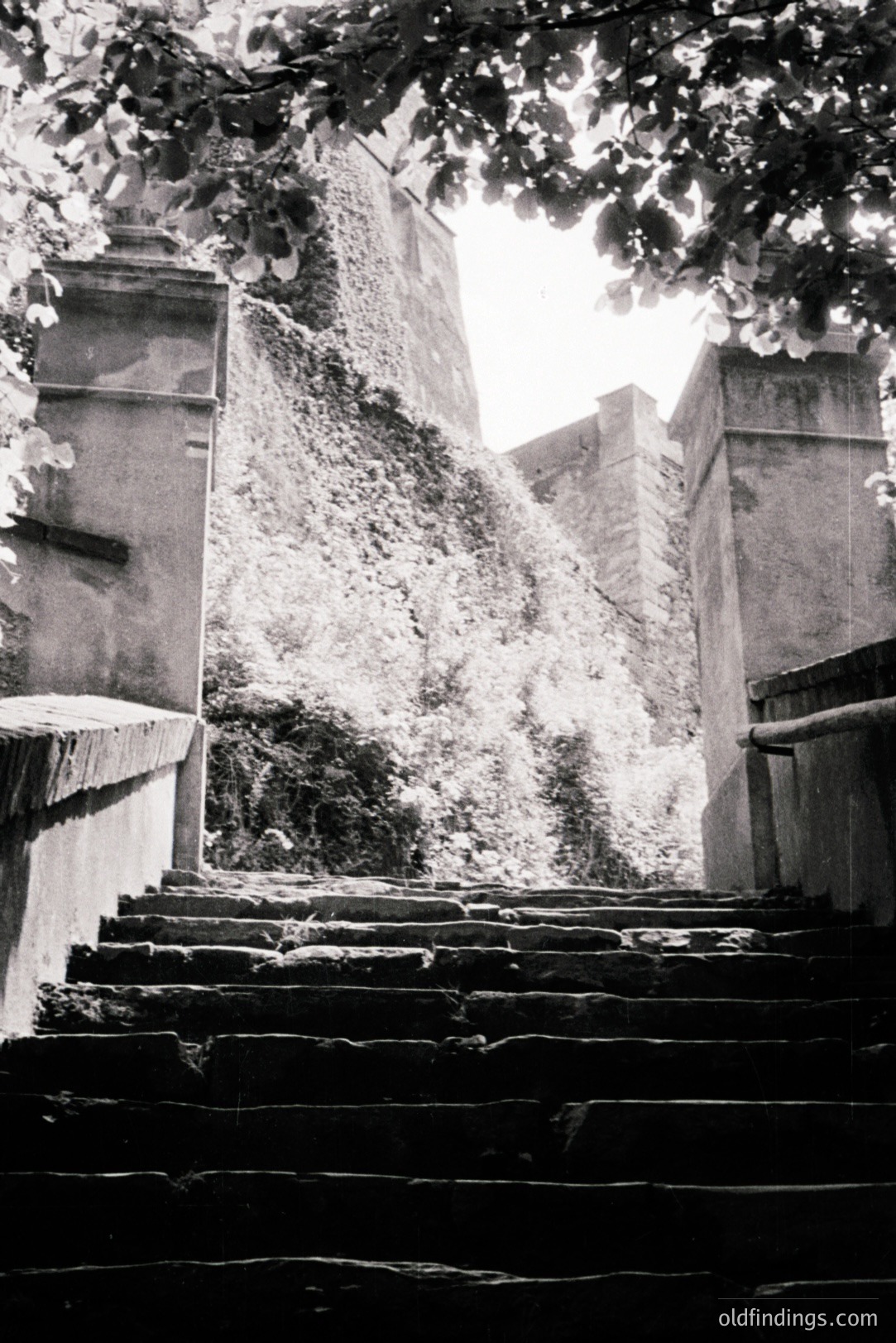 A steep, weathered stone staircase ascends between aged stone walls, overgrown with dense vegetation. The scene, likely a courtyard or old town, exhibits a sense of seclusion and historical charm. The photo's tonality suggests a mid-20th century aesthetic. Potential stock usage: architectural detail, travel, design.