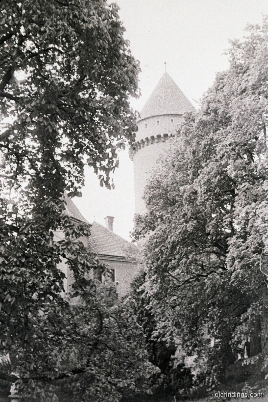 A view through foliage reveals a castle tower with crenellations and conical roof. The structure appears well-maintained with visible roof tiles. Likely European origin, suggestive of a historic estate or fortified residence. Architecture suggests mid-20th century documentation. Potential stock photography resource.