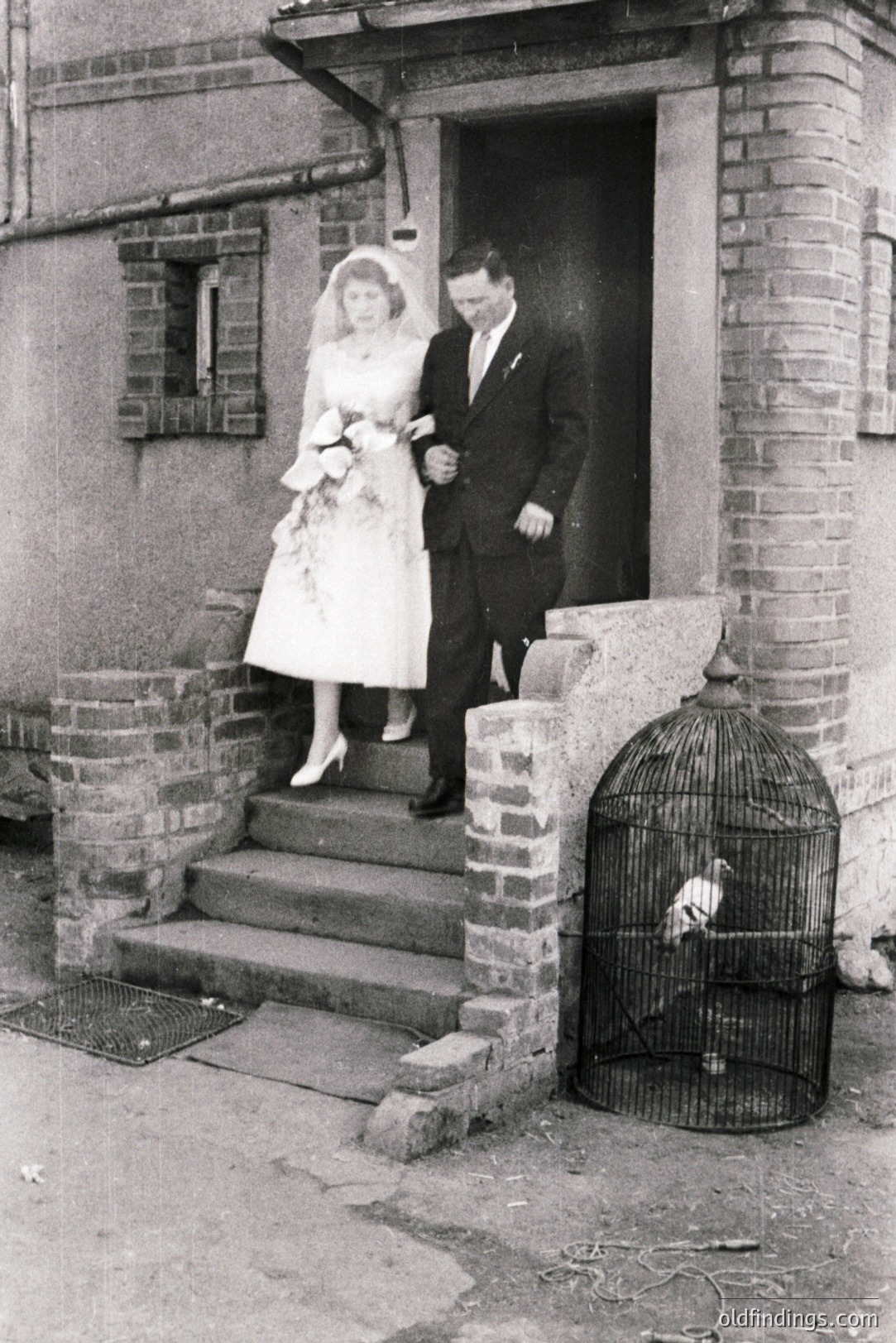 A newly married couple exits a brick-facade home, the bride in a floral-detailed dress and veil, the groom in a dark suit. A large birdcage, containing a pigeon, sits prominently on the porch steps. Likely 1950s or 60s, residential setting. A charming, nostalgic moment.