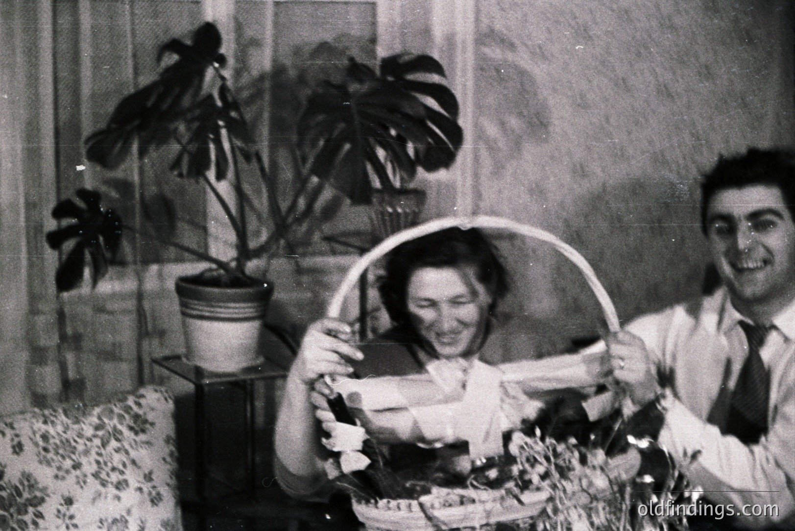 A couple joyfully displays a gift basket, potentially during a holiday celebration. The woman holds the basket with visible excitement while the man smiles broadly. A large potted plant dominates the background, hinting at an indoor setting. Likely 1960s style clothing and decor.
