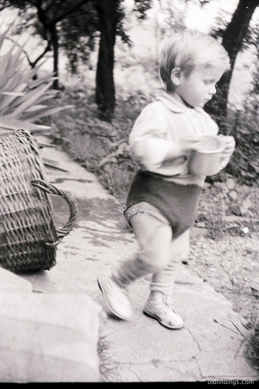 A toddler walks along a cracked stone path, carrying a small metal pail. Subject wears short pants, a long-sleeved shirt & sneakers. A wicker basket sits nearby. Appears to be an outdoor family scene. Likely a candid moment from the mid-20th century. Potential for nostalgic design or stock use.