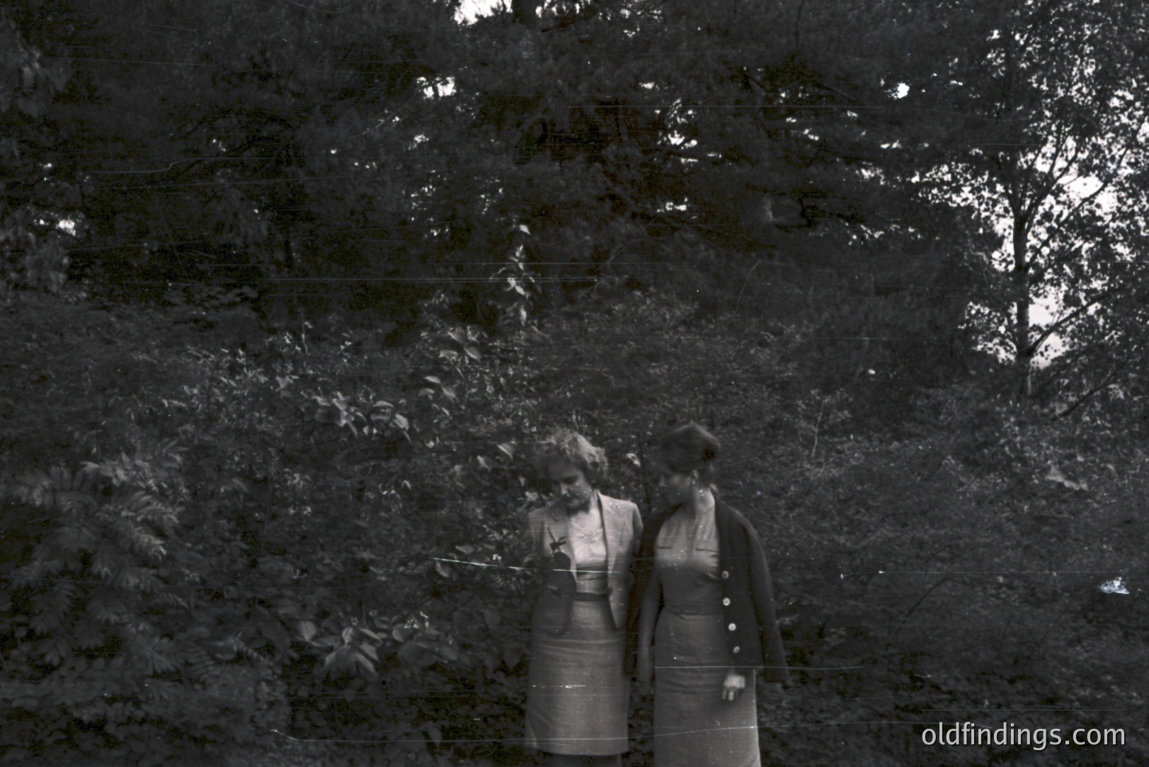 Two women in knee-length dresses and jackets stroll through foliage, partially obscured by dense trees. Visible fashion details suggest a 1960s or early 1970s style. The image, with grain & scratches, has a documentary or snapshot aesthetic. Excellent for vintage design or stock.