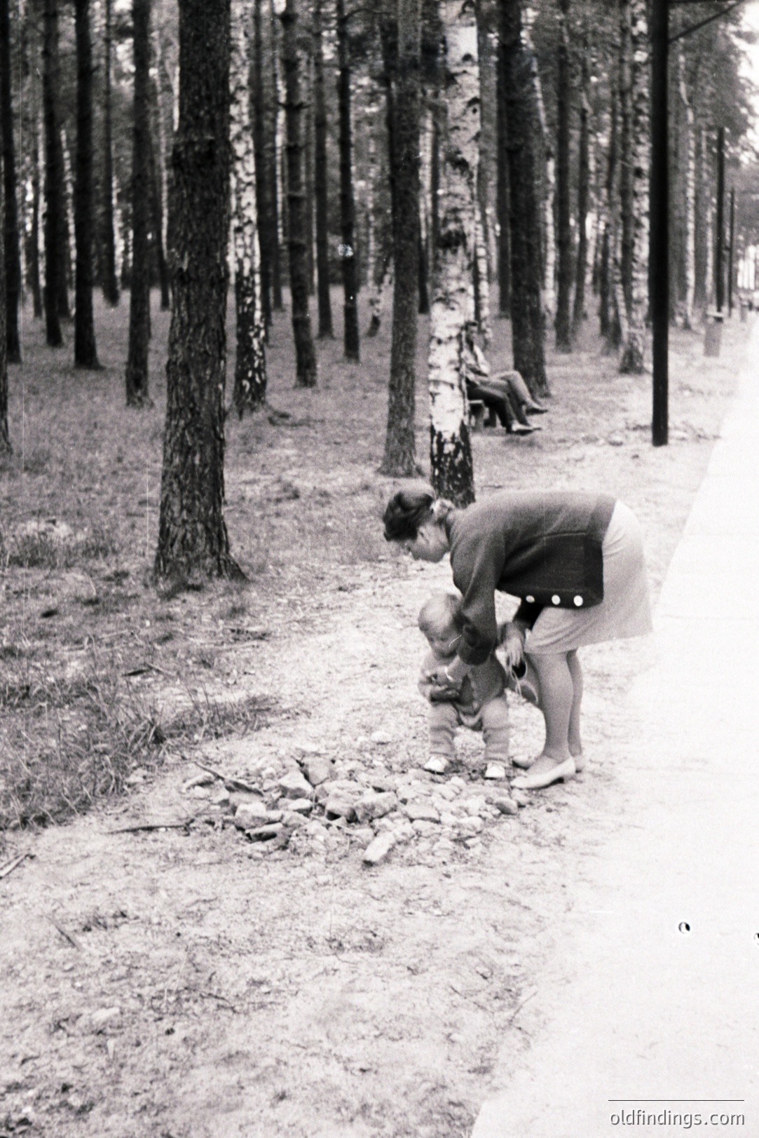 A woman in a skirt and sweater kneels, engaging with a young child wearing shorts and socks, set within a grove of tall pine trees. A pedestrian path runs along the edge of the frame. Likely mid-century, possibly 1950s-1960s. Gentle, candid moment.