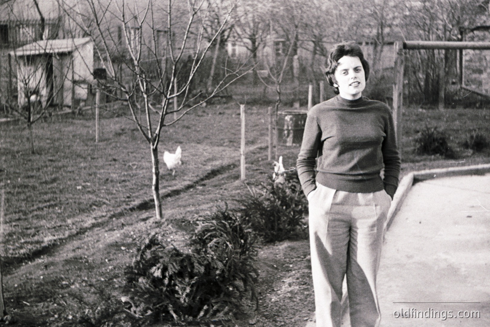 A young woman in a turtleneck sweater & trousers stands in a rural backyard, a chicken visible in the background. Simple fencing & a small building define the space. Likely a mid-century domestic scene, evoking a sense of quiet, everyday life.