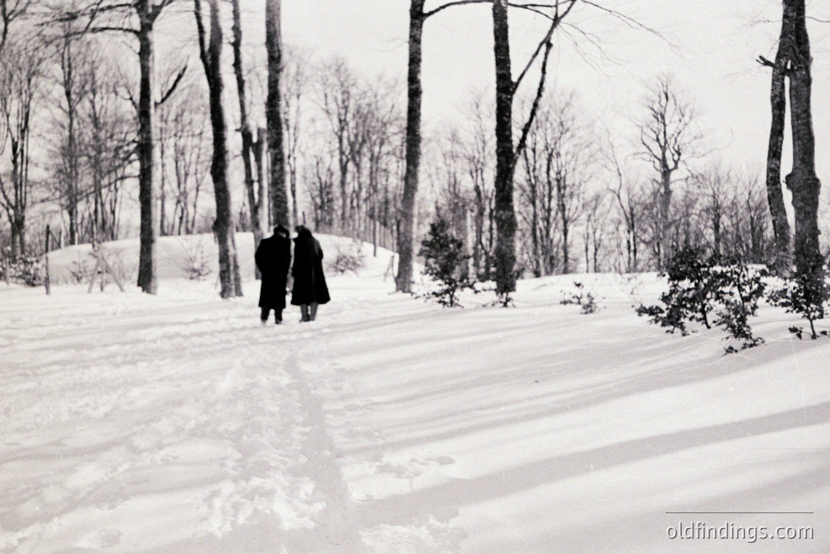 Two figures, clad in dark coats, walk away from the viewer across a snow-covered landscape. Sparse trees and bushes dot the scene. The monochrome palette evokes a stark, wintry atmosphere. Likely mid-20th century, possibly a public park or estate. Good for evoking mood.