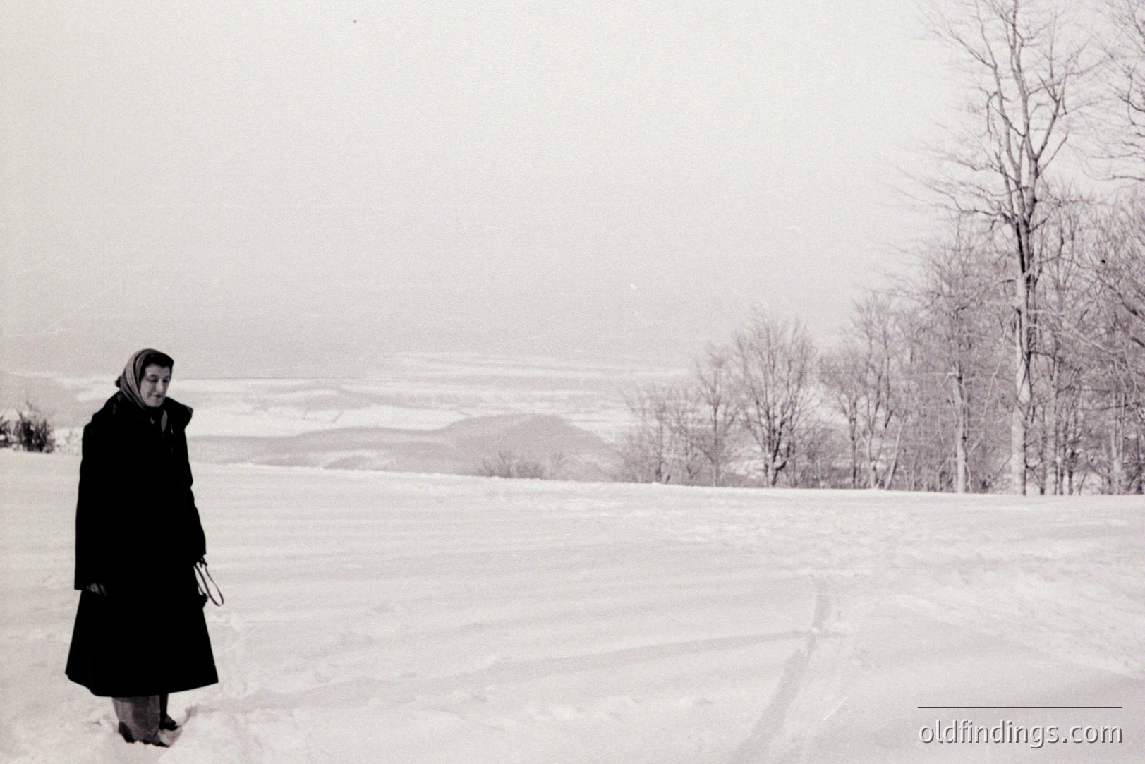 A woman in a dark coat and headscarf stands in a vast, snow-covered field. Bare trees line the background, beyond a distant, hazy horizon. Appears to be a rural, winter landscape, possibly Eastern Europe. Likely 1960s or 1970s based on clothing style. A simple, evocative scene.