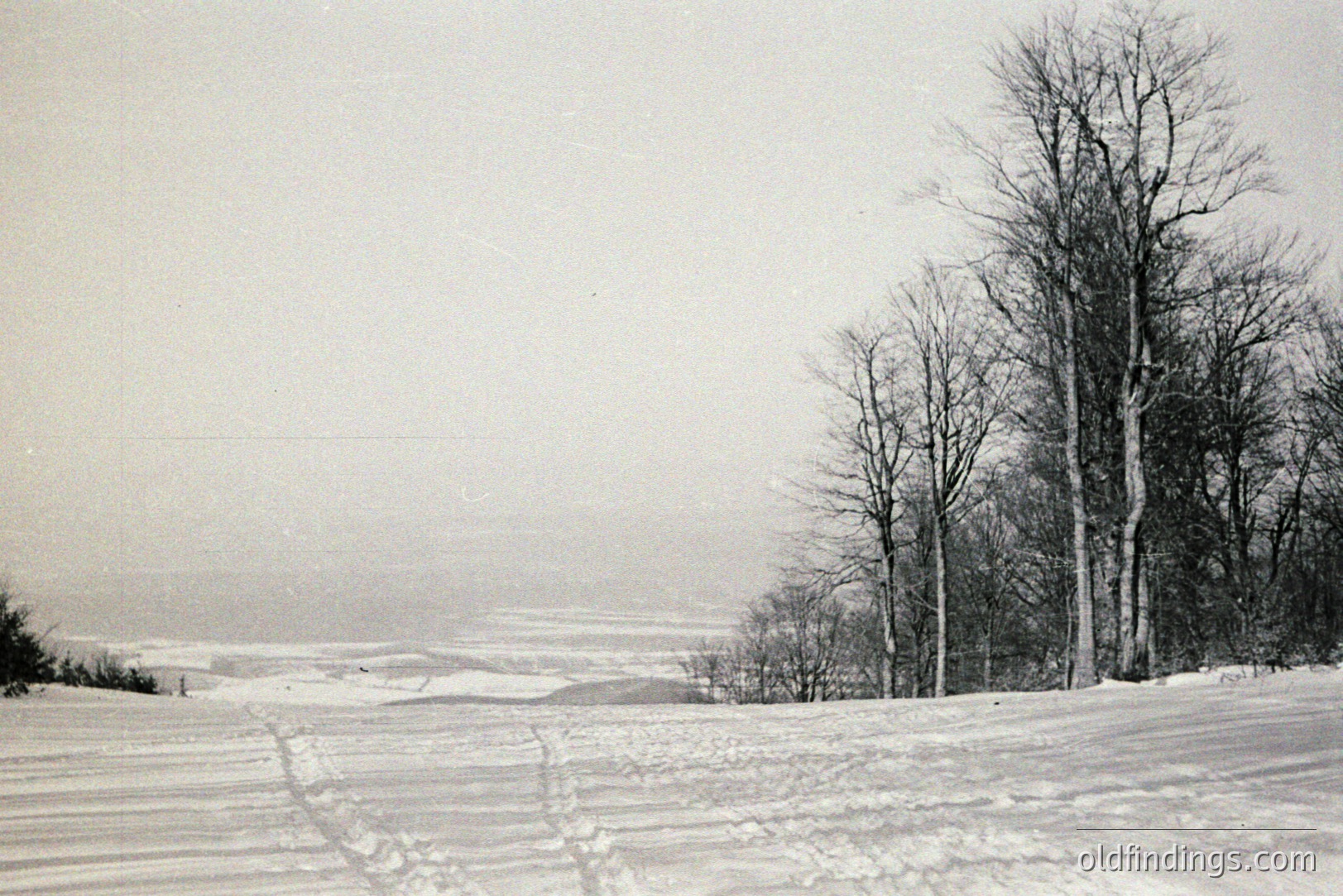 Monochrome landscape depicting a snow-covered field and distant, hazy hills. Several bare trees stand prominently along the horizon. Visible tracks suggest recent passage across the snow. Likely a rural scene, potentially from the mid-20th century. Valuable for winter landscape design and historical documentation.