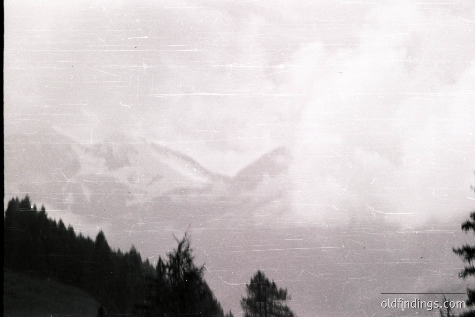 Striking grayscale image of a mountain range emerging from dense fog. Coniferous trees frame the lower portion. Visible film grain and scratches suggest age. Likely taken in an alpine region, possibly mid-20th century. Commercial value as a vintage landscape or textural element.