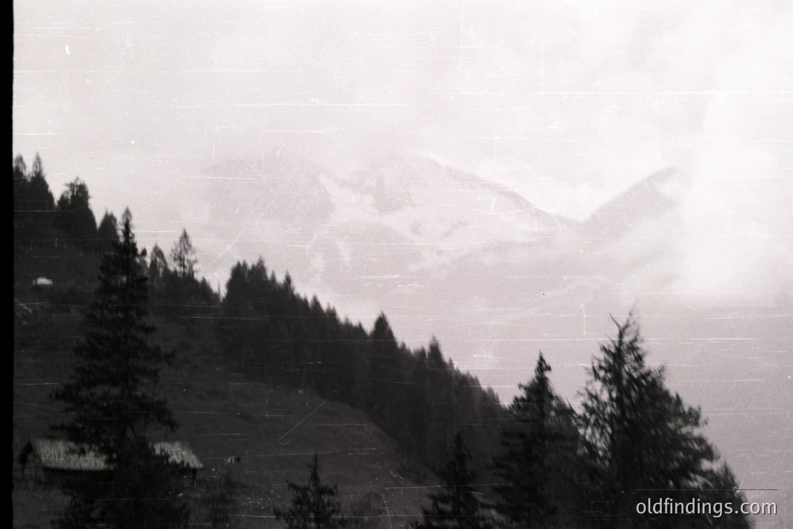 A misty, monochrome landscape features dense evergreen forest dominating the foreground, leading to snow-capped mountains partially obscured by cloud cover. Hints of rooftops suggest a settlement nestled within the trees. Likely alpine region, possibly 20th century. Suitable for atmospheric design or historical context.