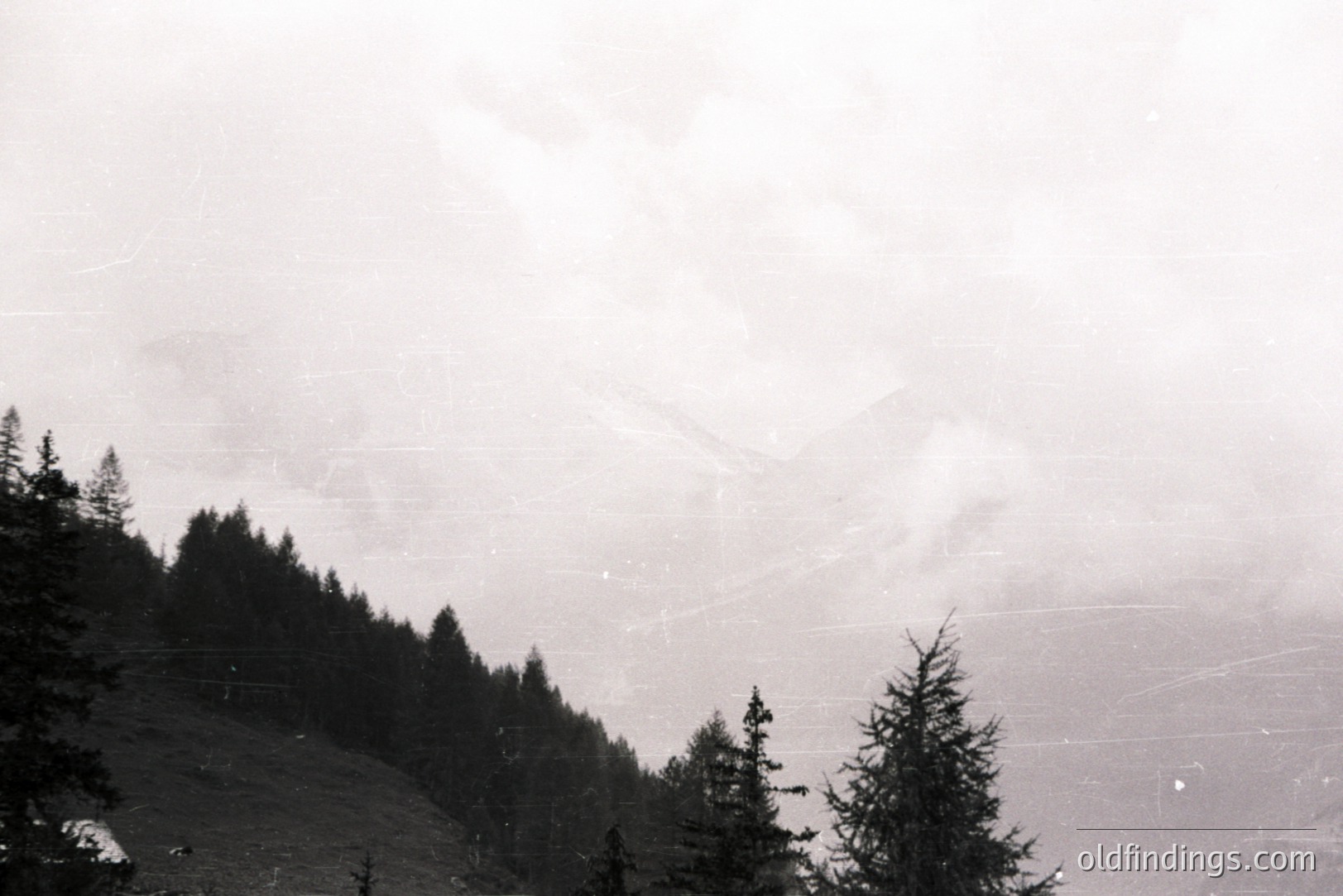 A monochrome landscape captures a dense forest ascending a hillside, partially obscured by low-lying fog or clouds. The terrain undulates upward, with a suggestion of a town nestled within the valley. Visible grain and scratches denote a vintage photographic print. Likely taken in the mid-20th century.