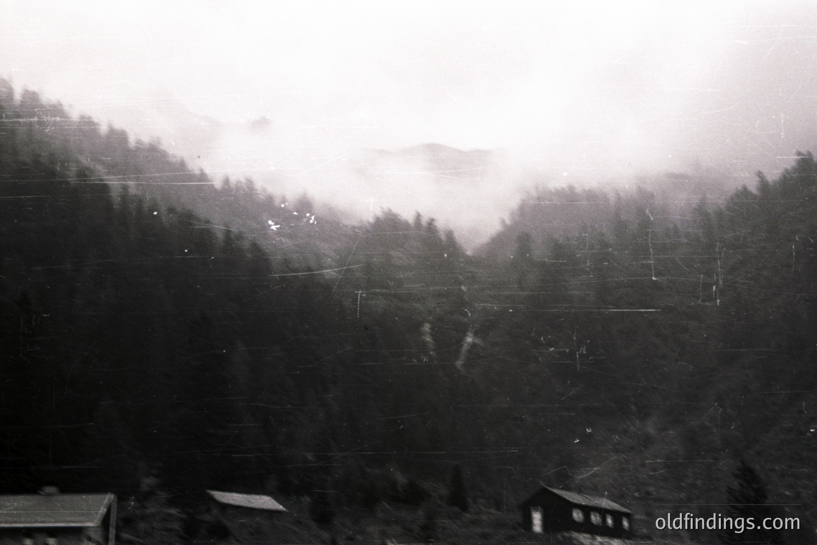 Monochrome image depicts a dense, coniferous forest valley shrouded in mist. Several small buildings are visible amongst the trees. Likely taken in a mountainous region, possibly Eastern Europe. The grainy quality suggests a vintage print, potentially 1950s-1970s. A strong commercial value for design or historical contexts.