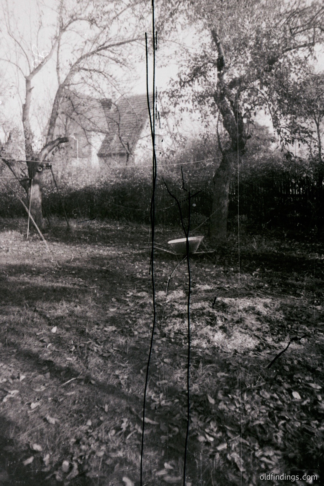 A weathered, monochrome image captures a rural scene, likely a garden or orchard. A rusty wheelbarrow sits centrally, amidst fallen leaves and a sprawling, untended shrubbery. A traditional, steeply-roofed building is visible in the background, suggesting a farm or rural home. Shows signs of age/damage.