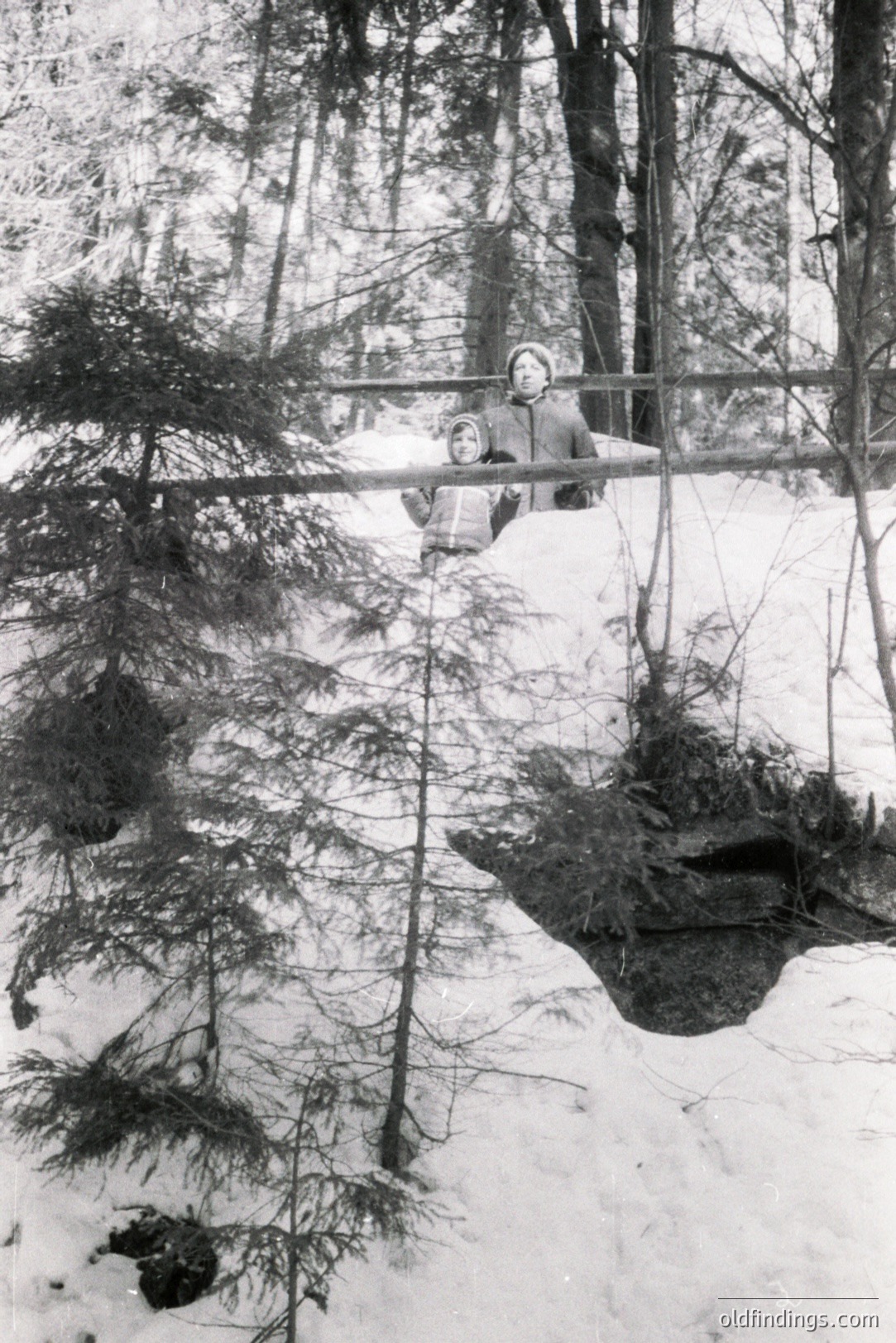 A young child in a hooded coat sits atop a snowdrift, partially obscured by evergreen branches, in a wooded, snowy landscape. The image, likely dating from the mid-20th century, shows the child looking directly toward the camera. Textural detail suggests a potentially valuable document of childhood winters.