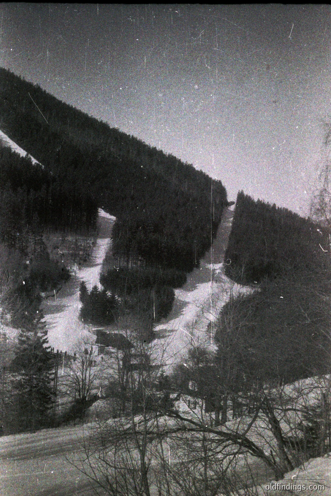Striking black and white image of a snow-covered alpine slope, densely forested with evergreen trees. Visible ski tracks indicate recreational use. Minor age-related surface damage is evident. Likely mid-20th century, possibly 1950s-1970s. Ideal for design or historical reference.