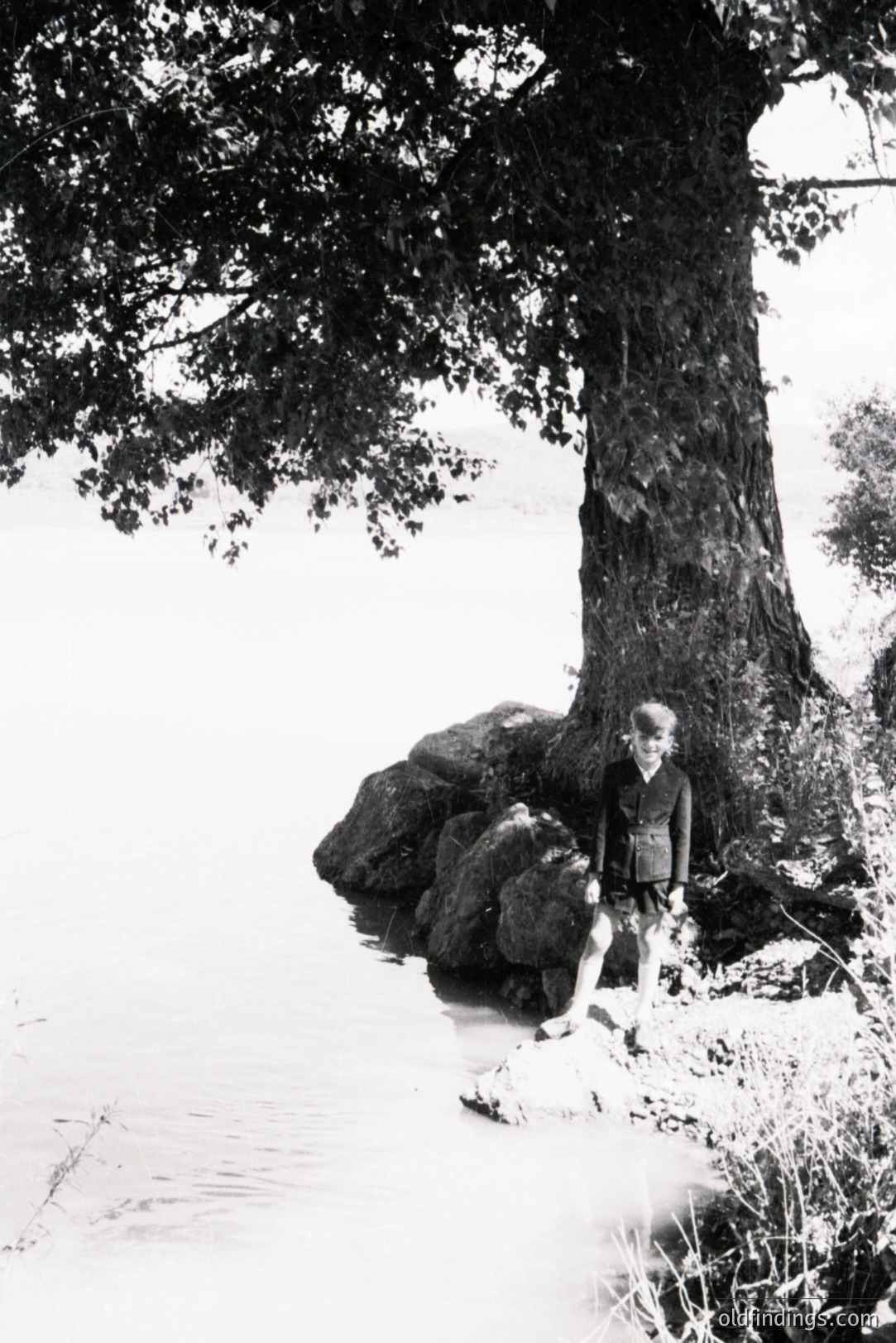 A young woman sits poised on a rocky shoreline next to a large tree. The landscape shows water, foliage, and a bright sky. The style suggests a candid moment, likely mid-20th century (1960s-1970s). Subject’s clothing hints at a casual, relaxed aesthetic. Suitable for lifestyle or design references.