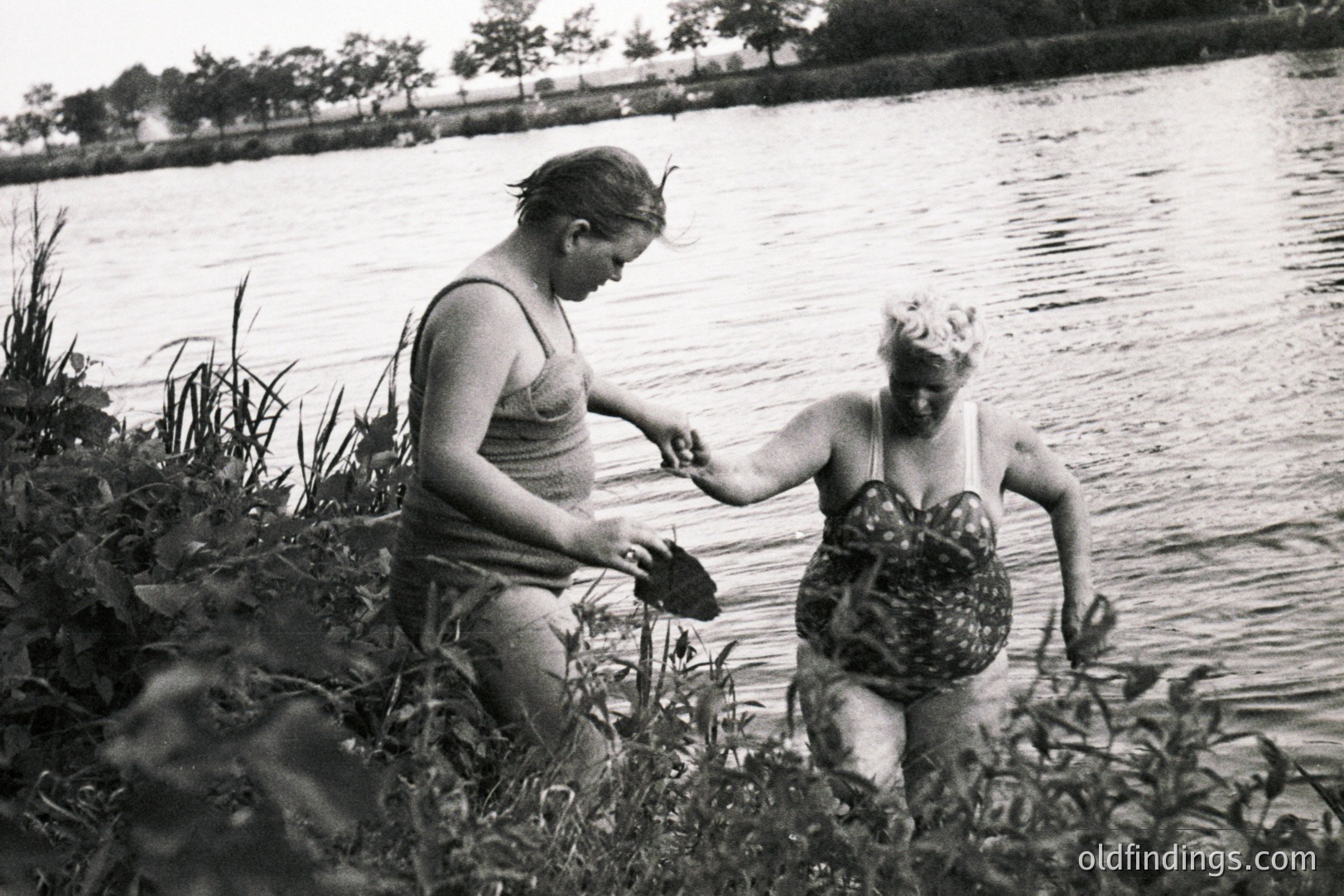 Vintage photograph