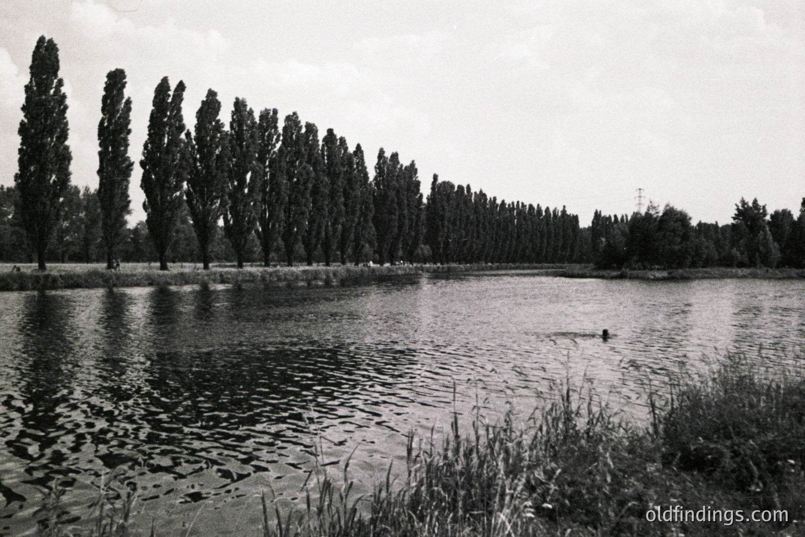 Vintage photograph