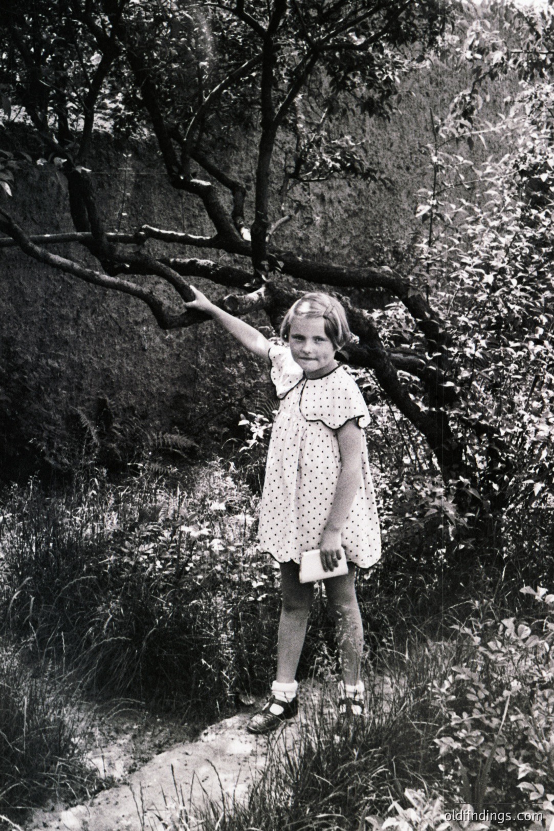 Vintage photograph