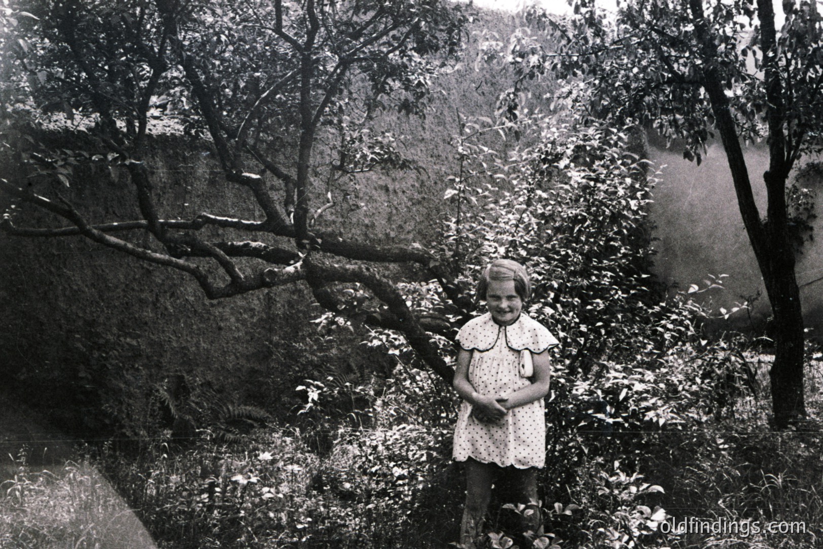 Vintage photograph