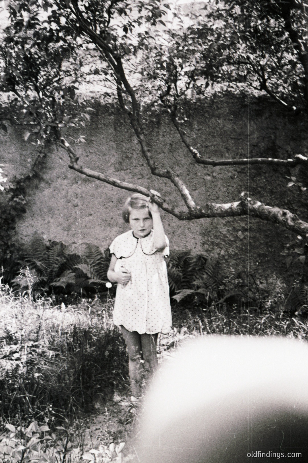 Vintage photograph