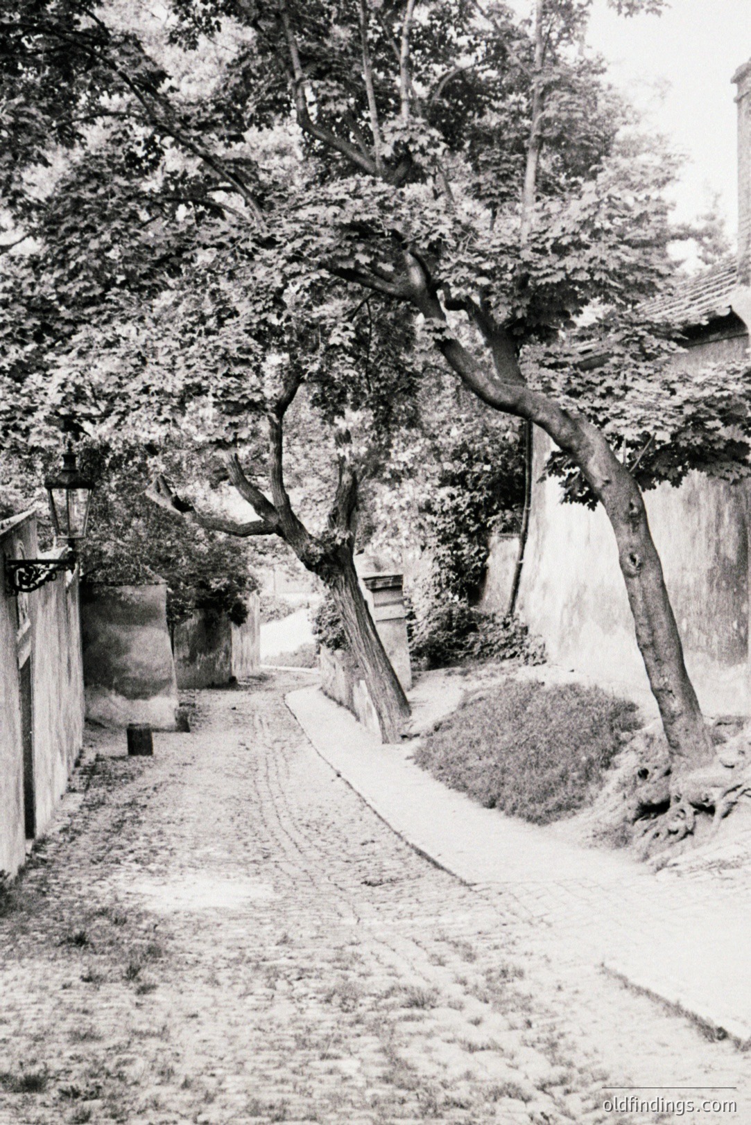 Vintage photograph