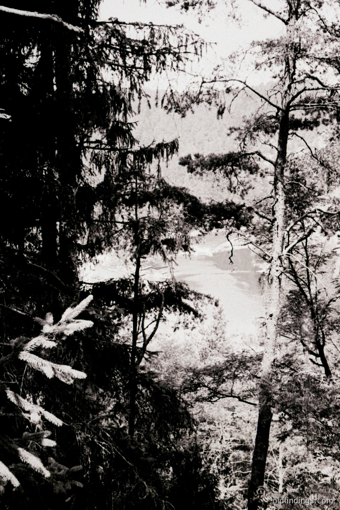 Vintage photograph