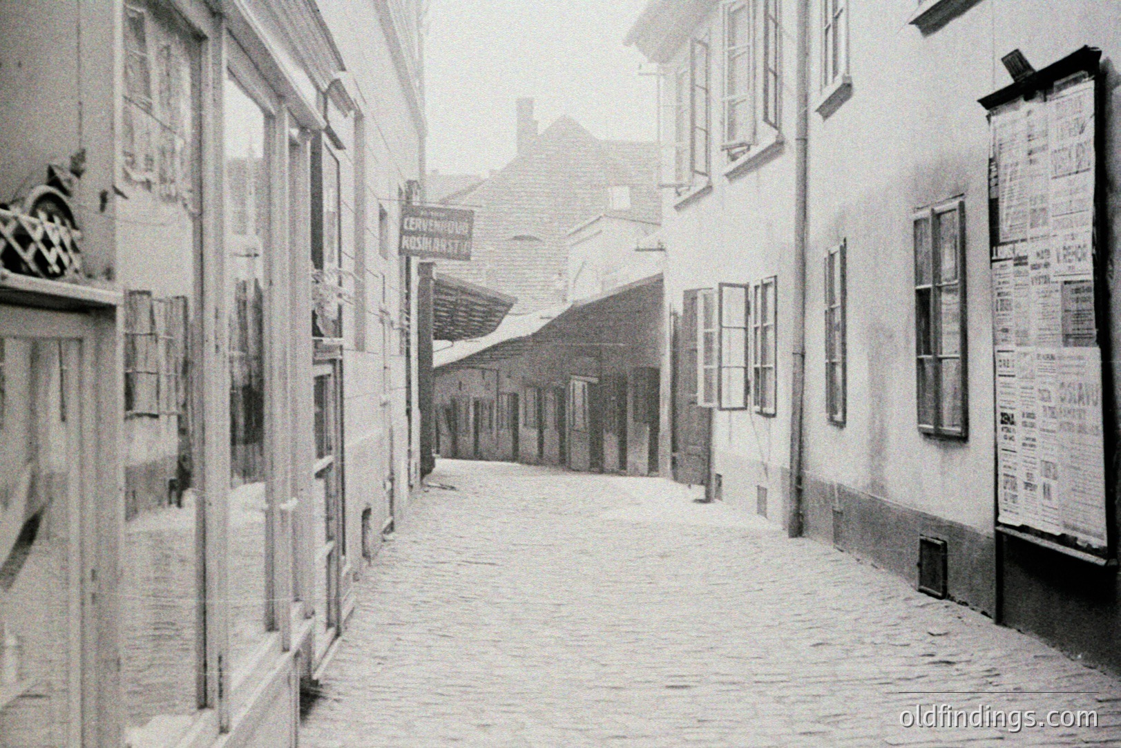 Vintage photograph