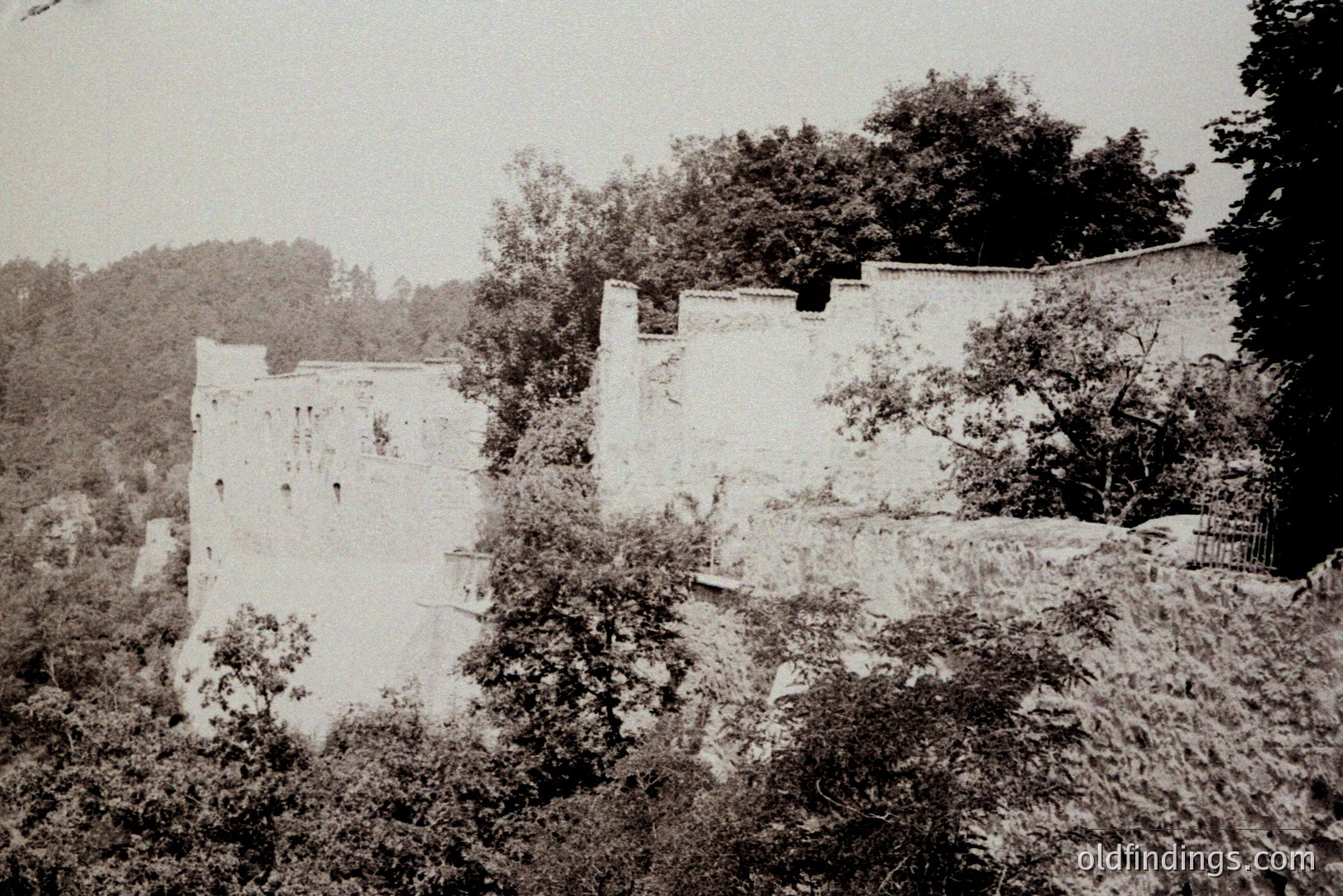 Vintage photograph