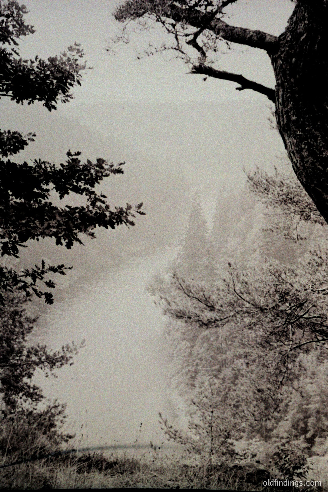 Vintage photograph