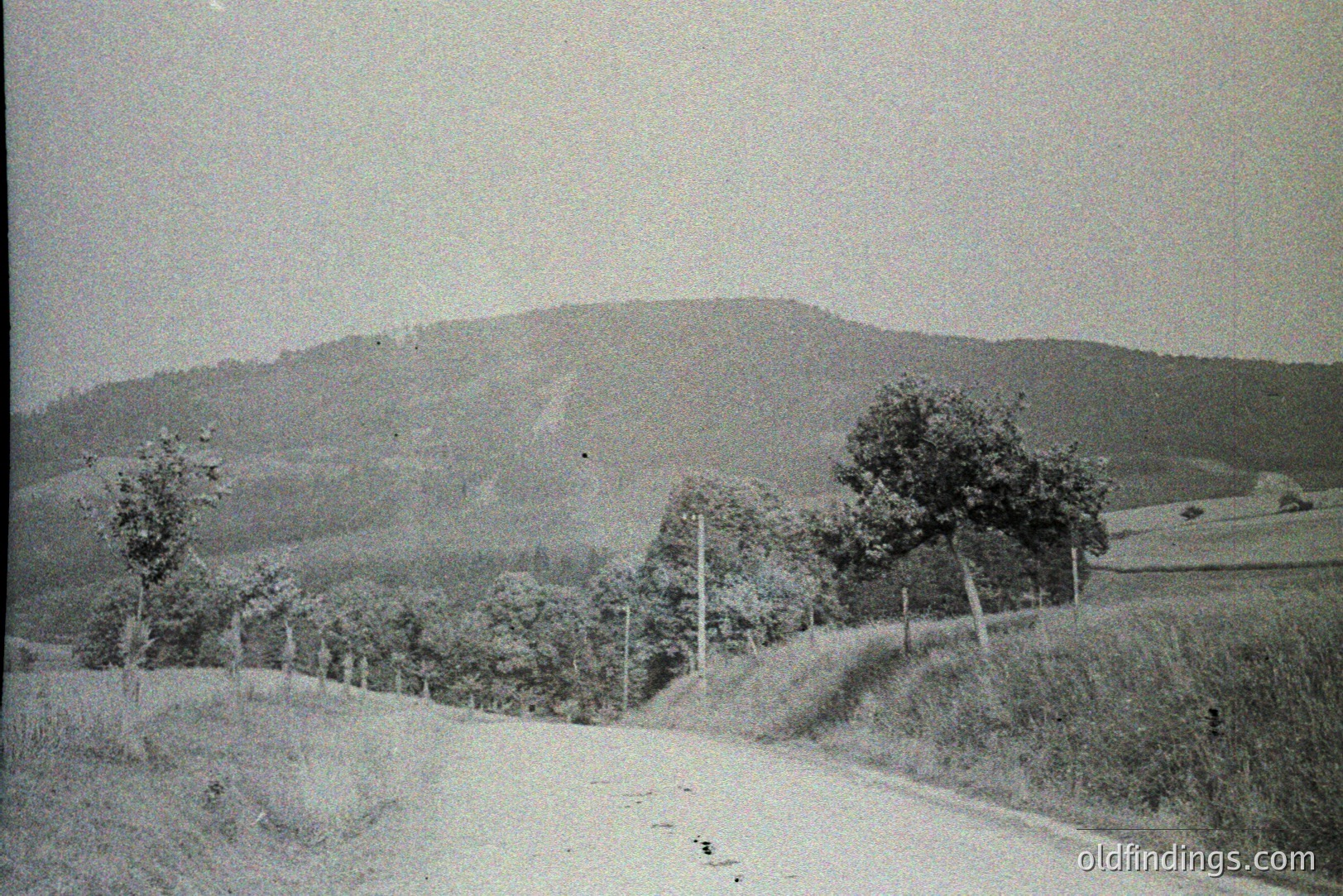 Vintage photograph
