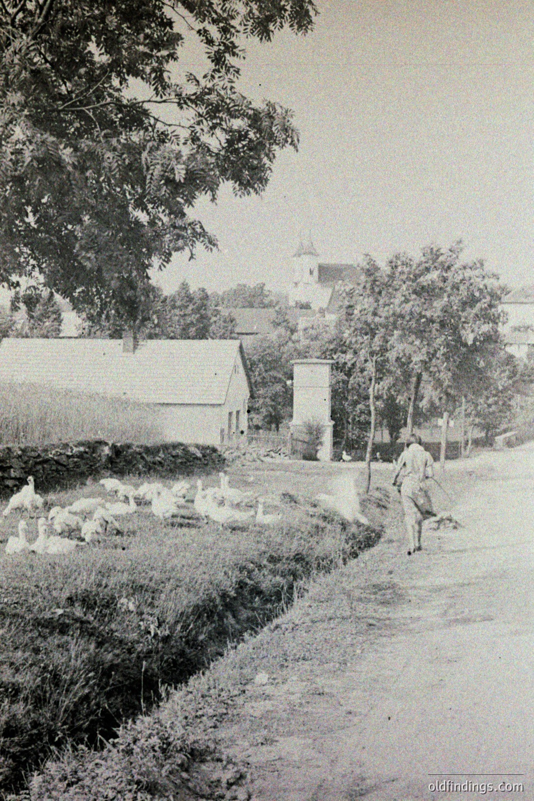Vintage photograph