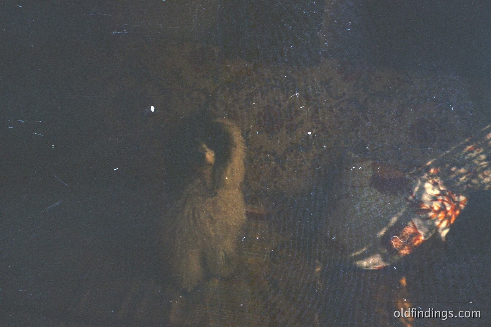 Vintage photograph