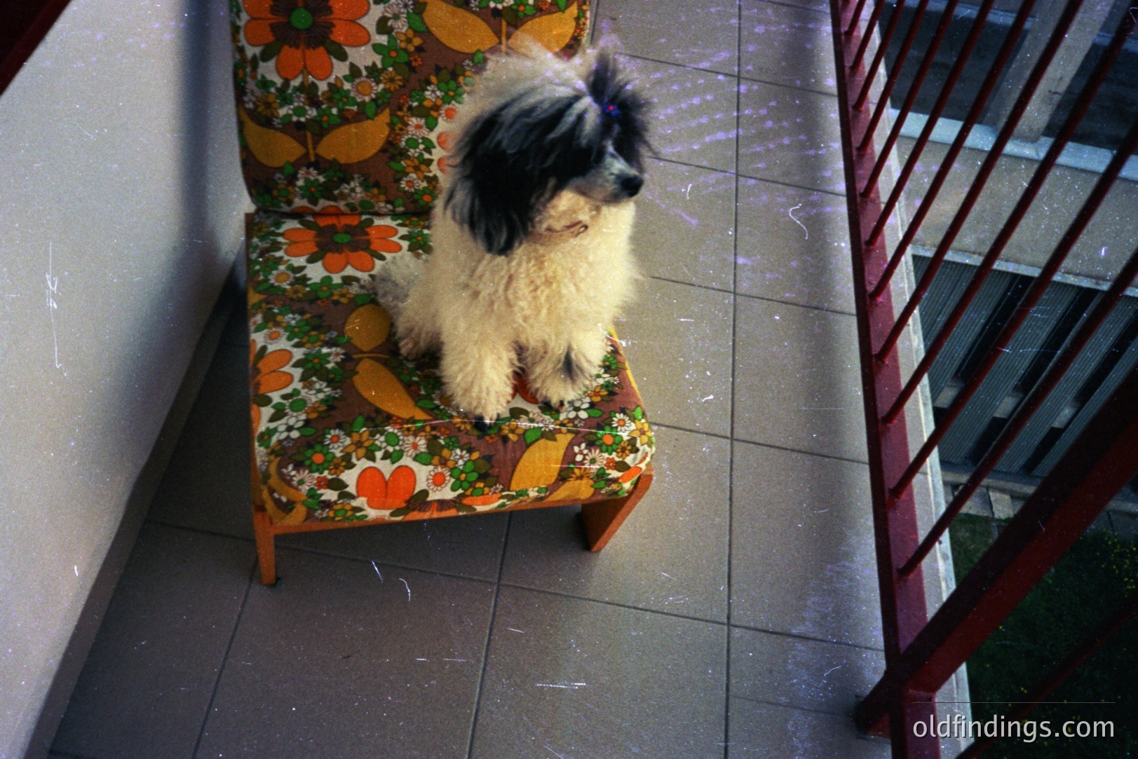 Vintage photograph