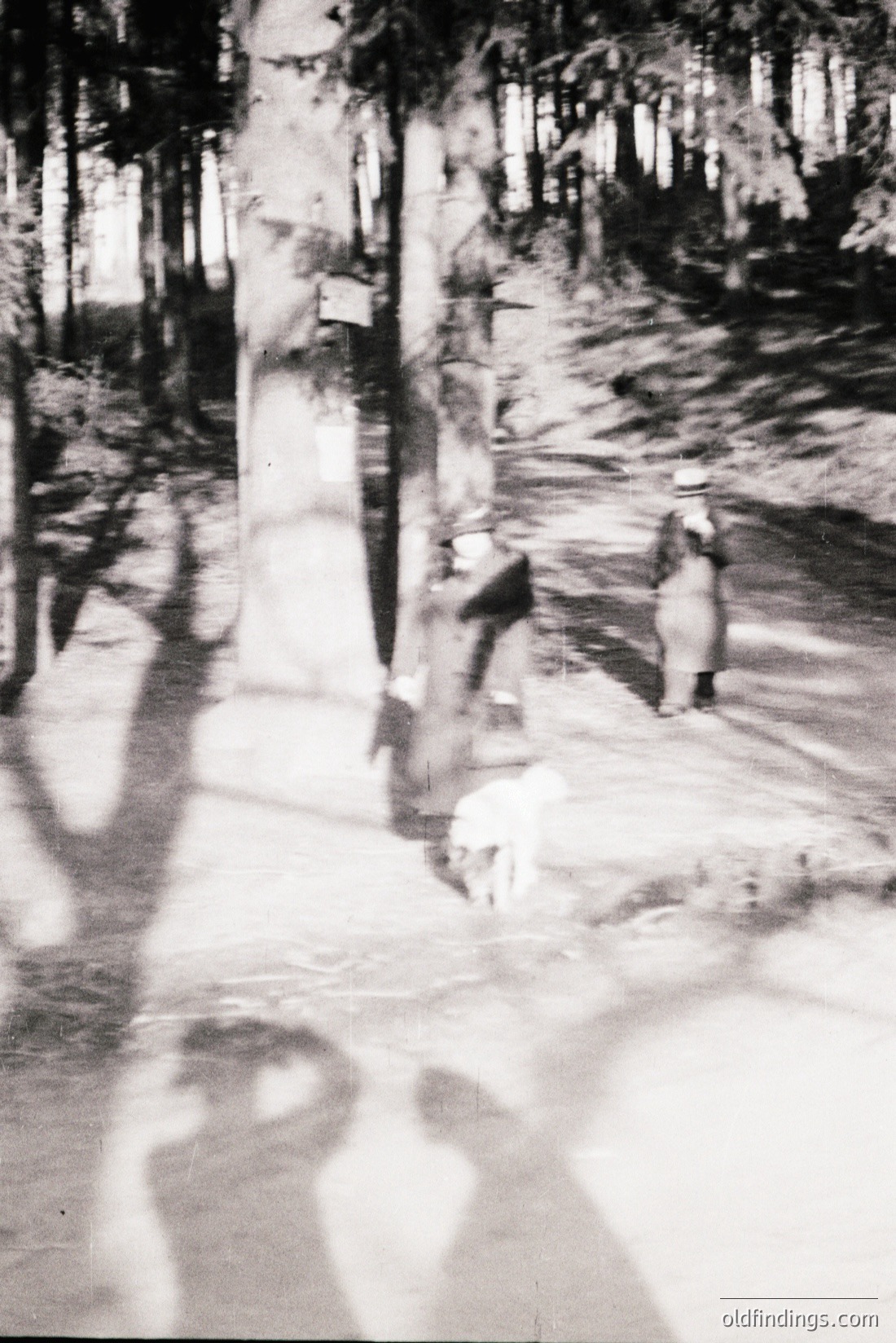 Vintage photograph