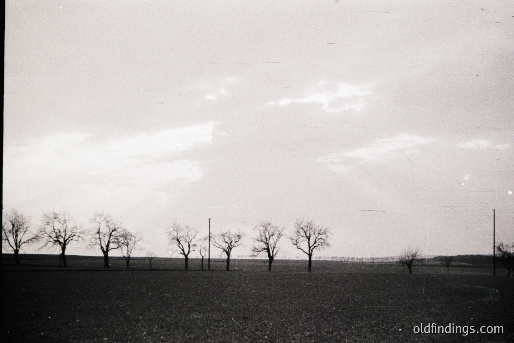 Vintage photograph