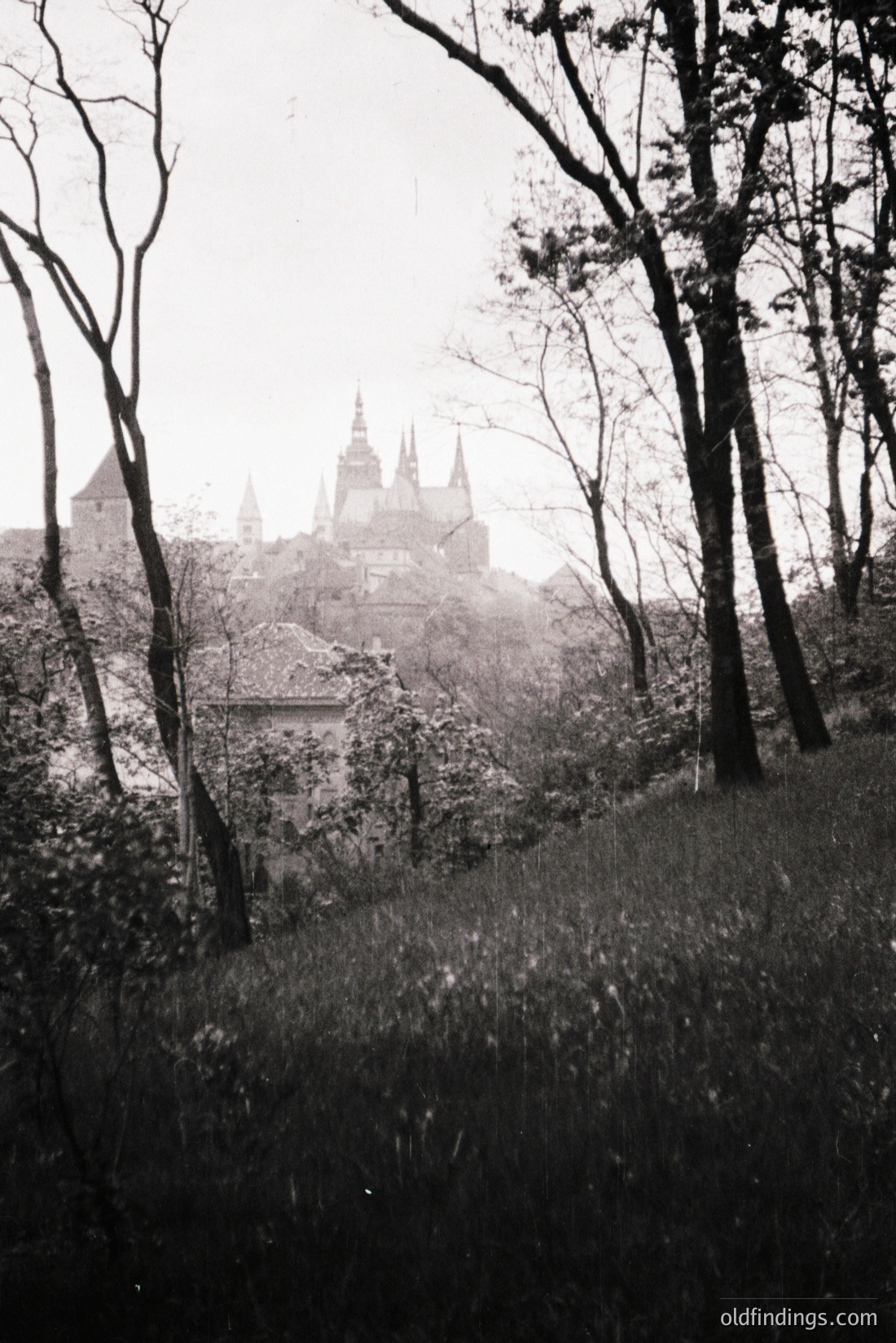 Vintage photograph