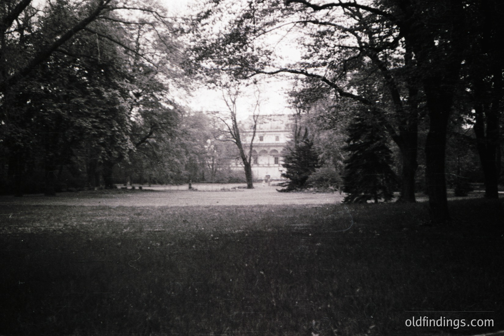 Vintage photograph