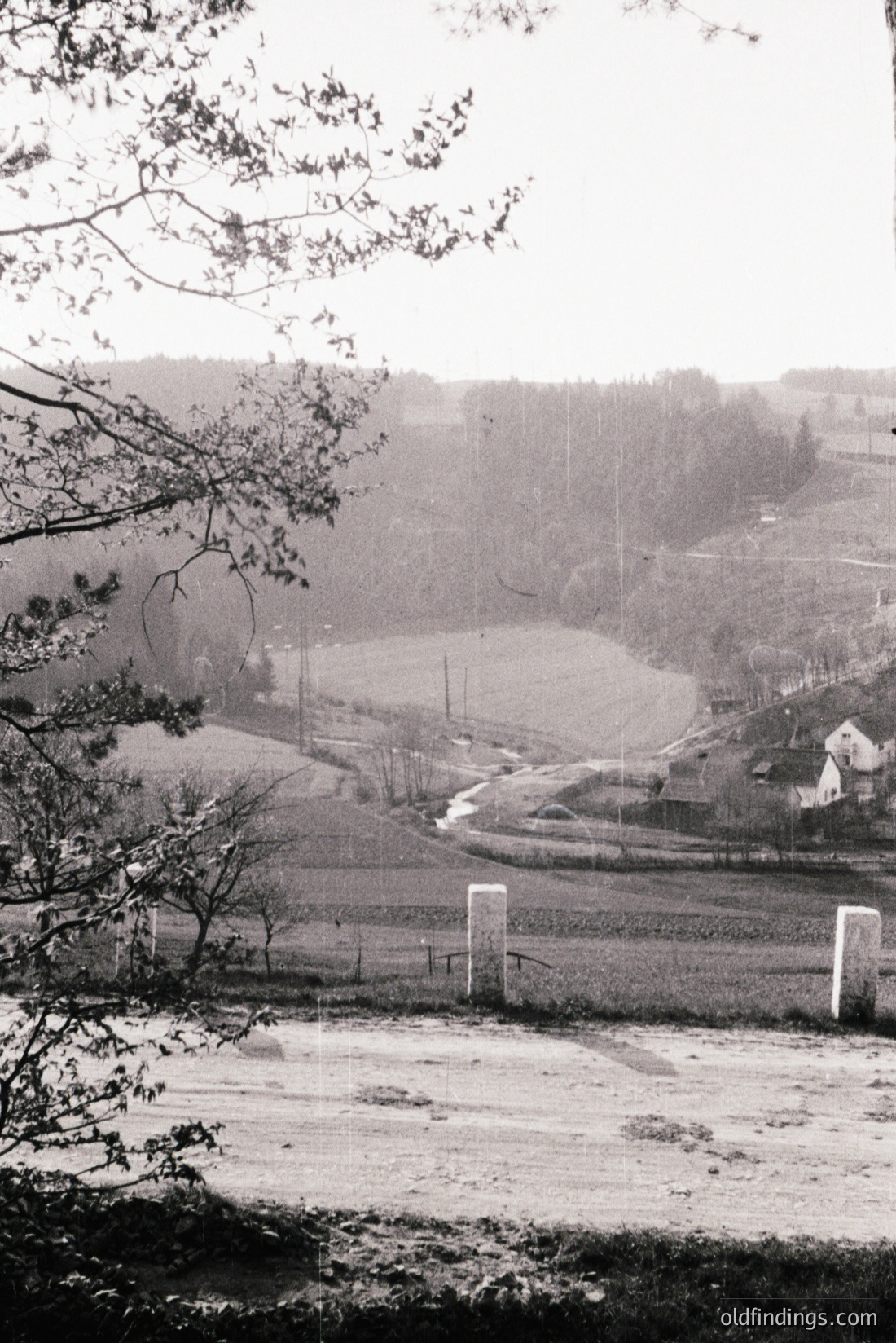 Vintage photograph