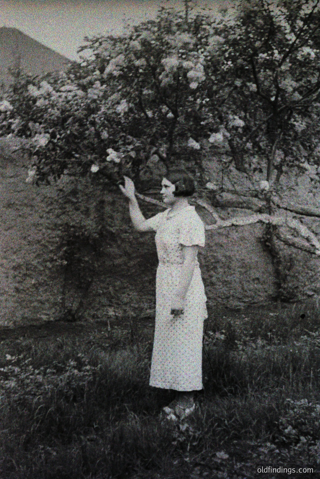 Vintage photograph