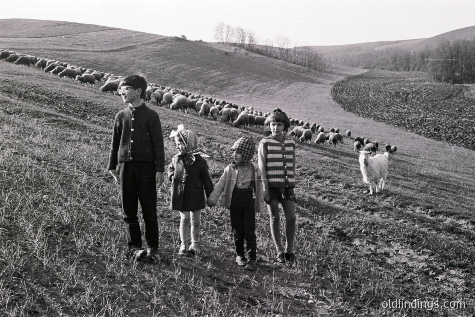 Vintage photograph
