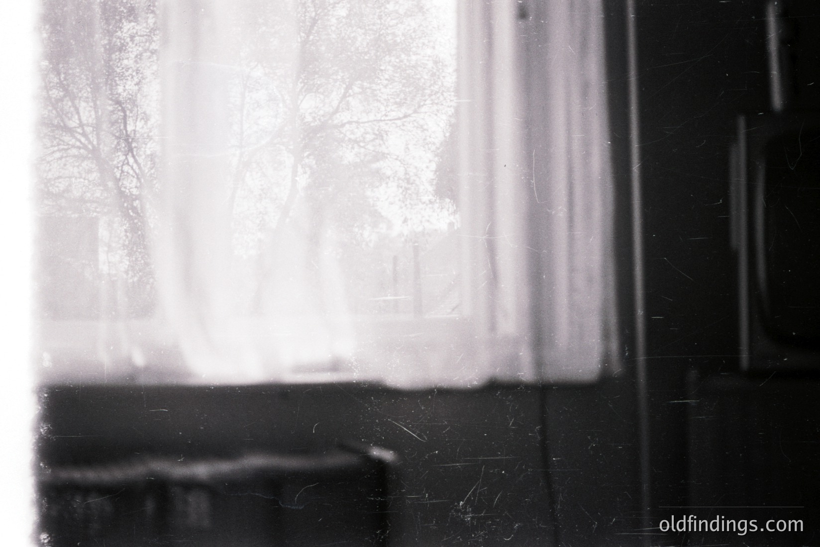 Vintage photograph