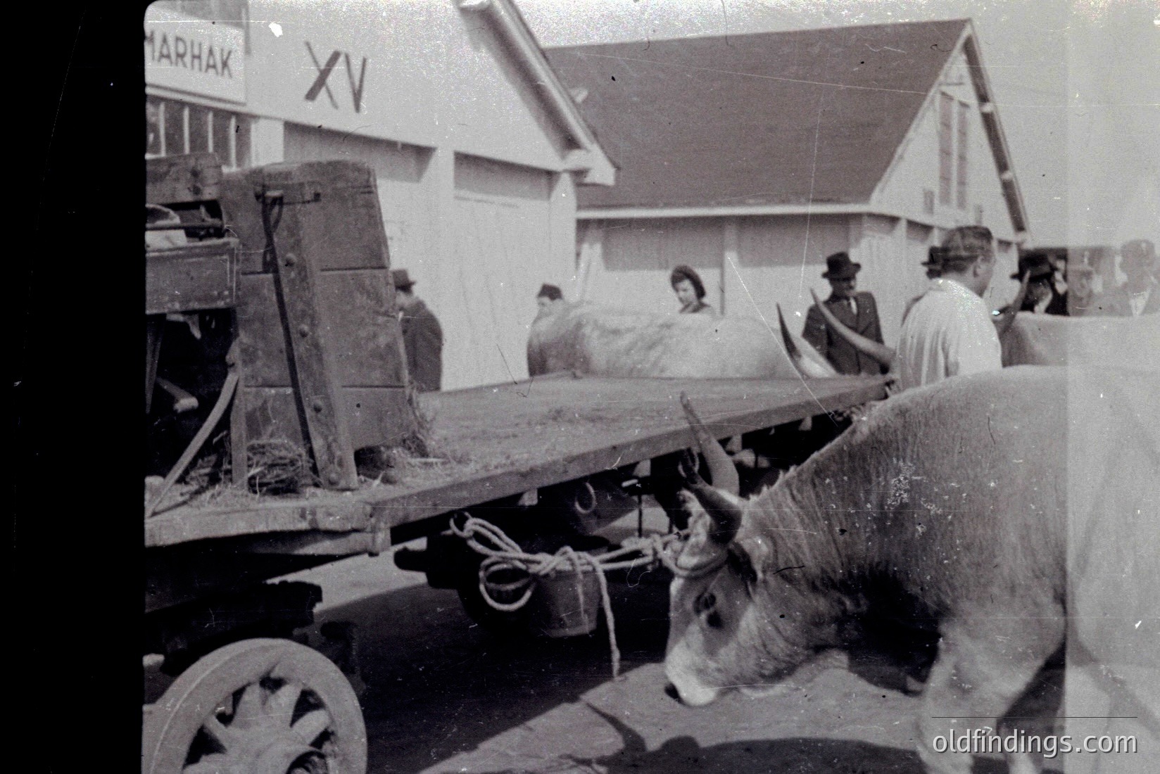 Vintage photograph